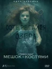 Мешок с костями